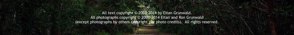 All text copyright  2003-2014 by Eitan Grunwald.   All photographs copyright  2003-2014 Eitan and Ron Grunwald  (except photographs by others copyright per photo credits).  All rights reserved.