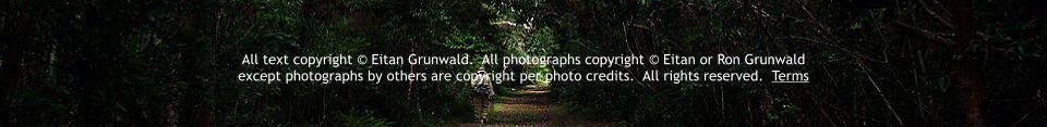 All text copyright  Eitan Grunwald.  All photographs copyright  Eitan or Ron Grunwald  except photographs by others are copyright per photo credits.  All rights reserved.  Terms